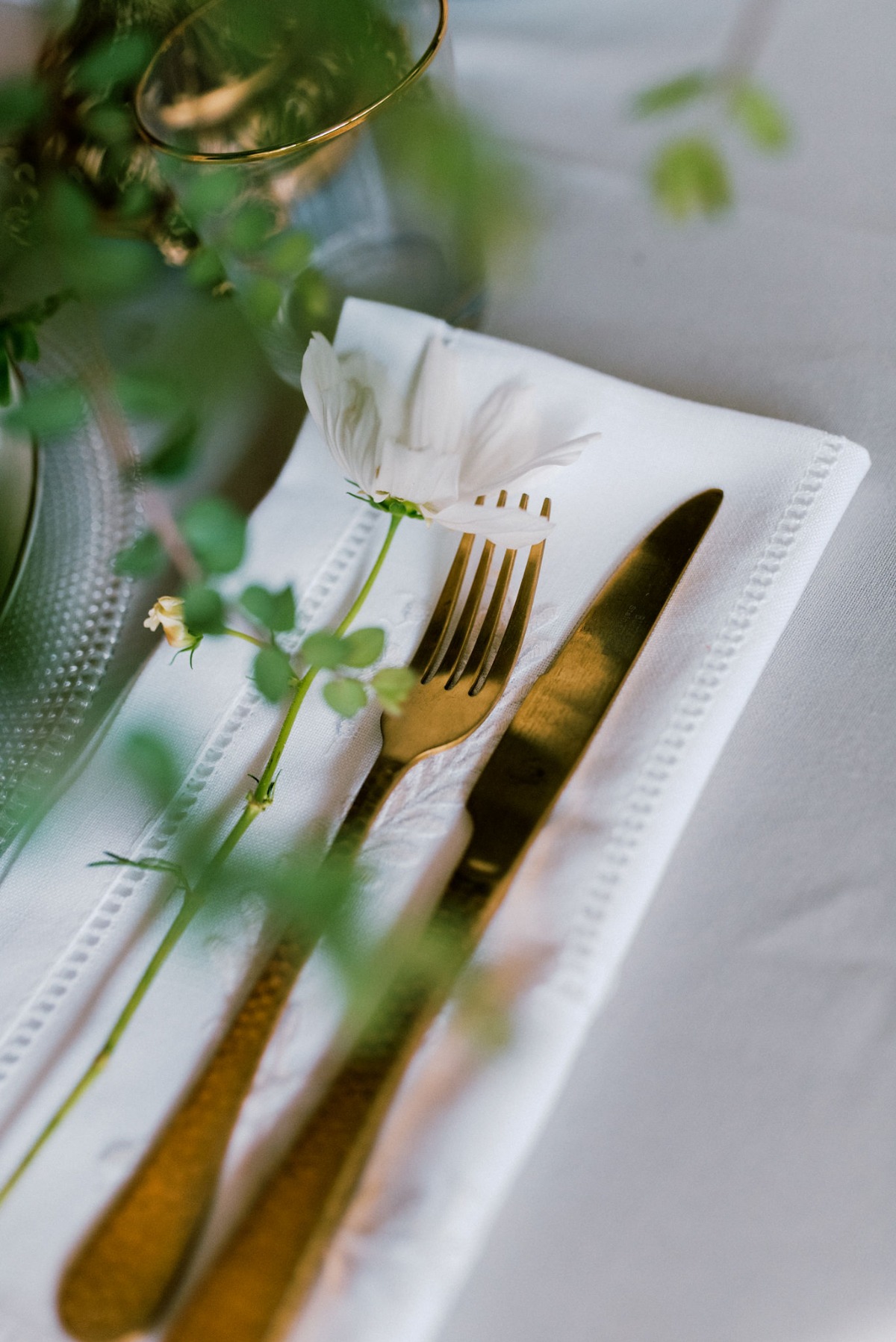phaedra_events_lefteris_kalampokas_mv108