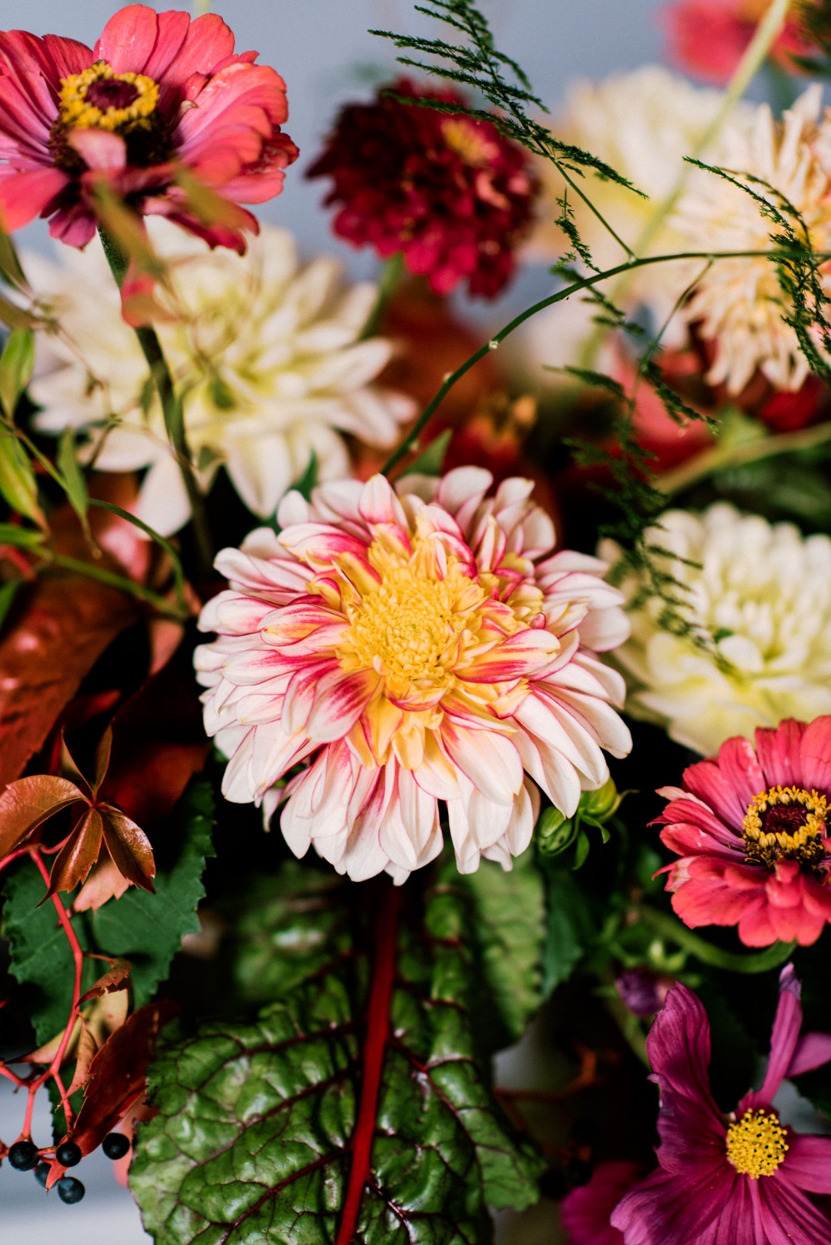 phaedra_events_lefteris_kalampokas_mv34