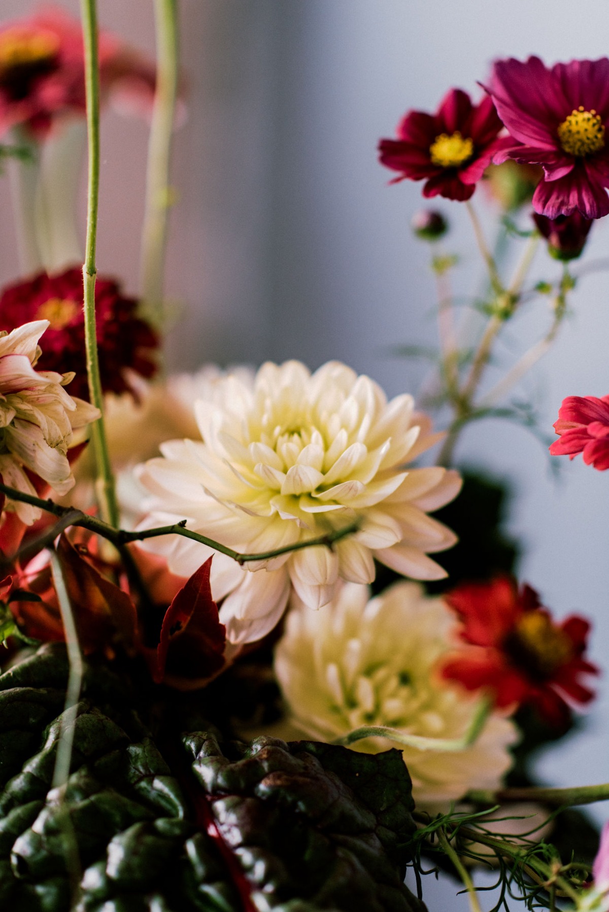 phaedra_events_lefteris_kalampokas_mv38