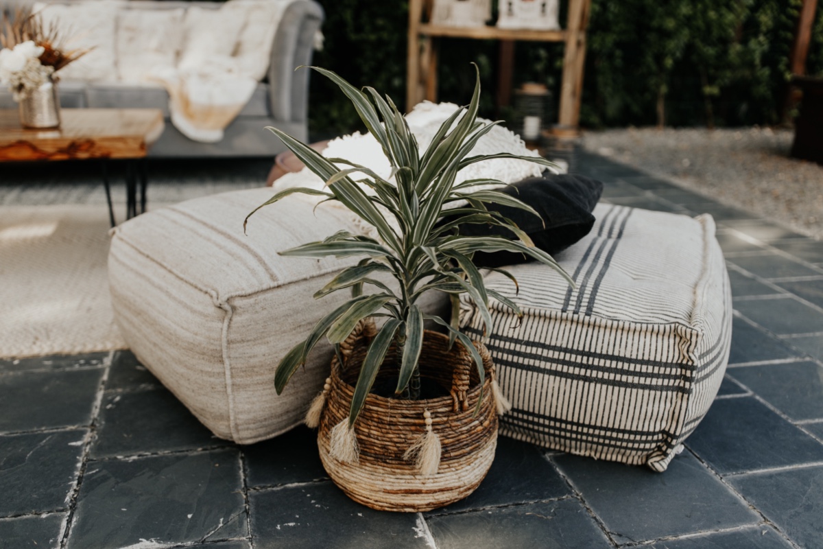 Outdoor lounge area with potted plant and floor cushions