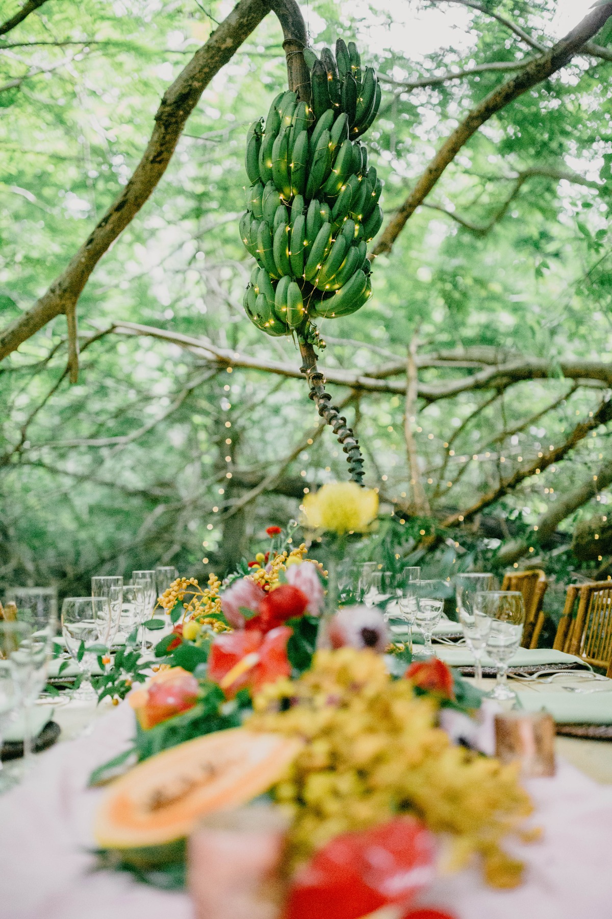 soleilcreative-magensbayarboretum-lredit