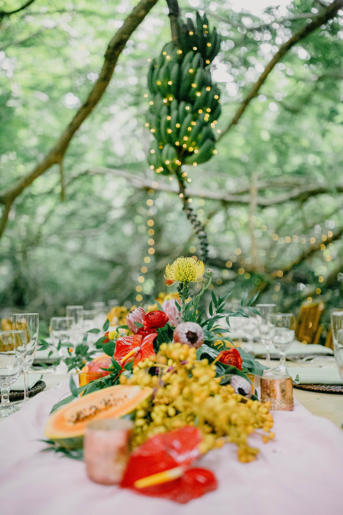 soleilcreative-magensbayarboretum-lredit