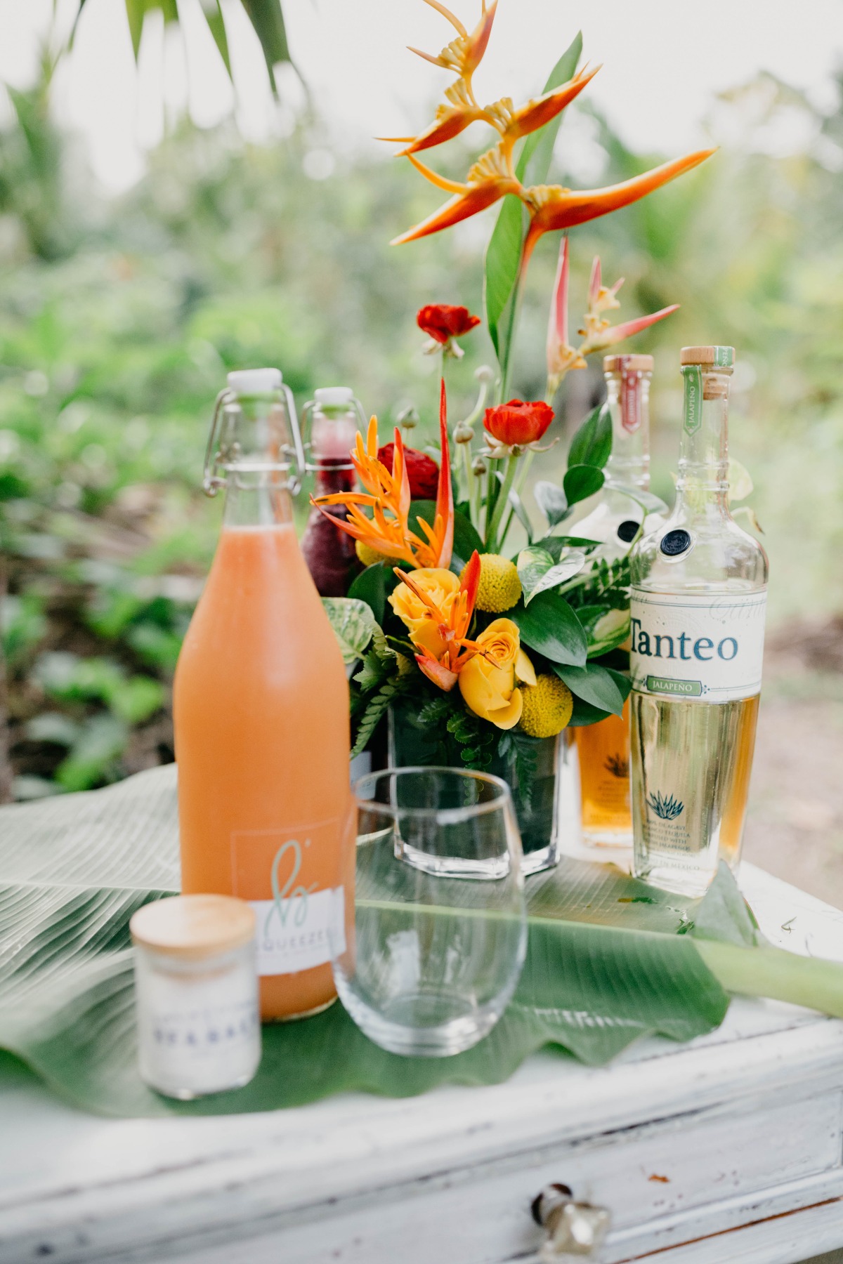 soleilcreative-magensbayarboretum-lredit
