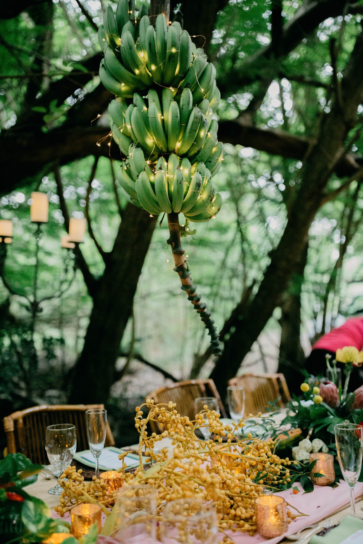 soleilcreative-magensbayarboretum-lredit
