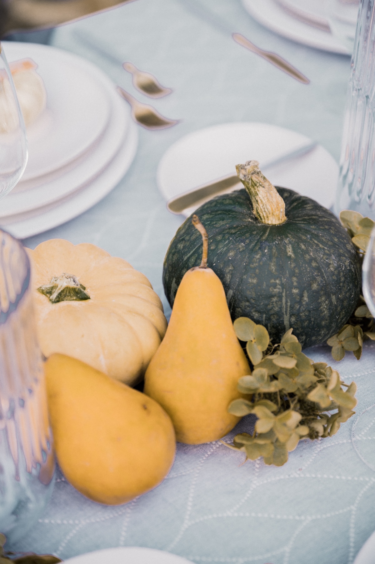 tuscan-hills-editorial_autumnal-scene_sa