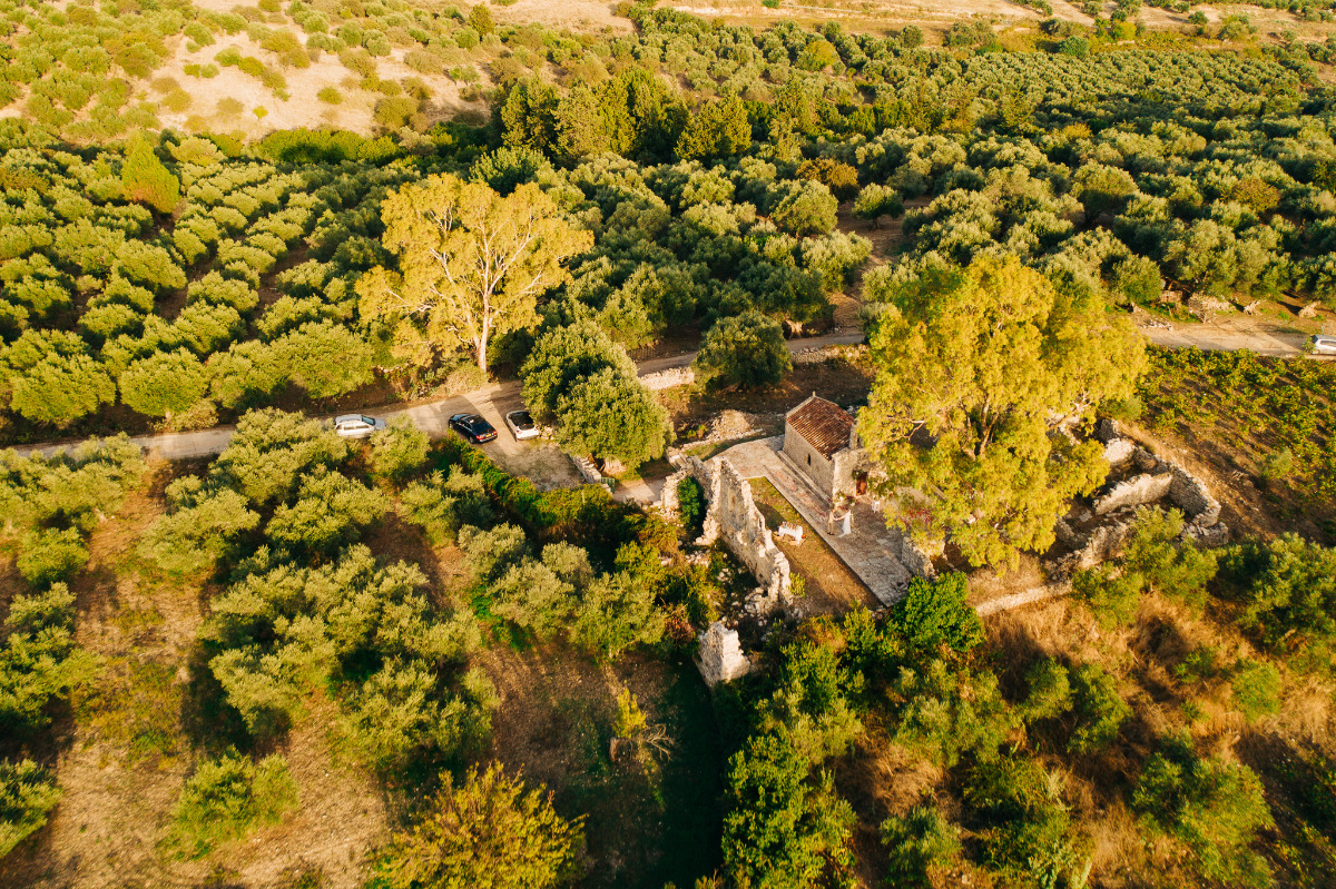 Aerial view of chapel and olive groves in countryside