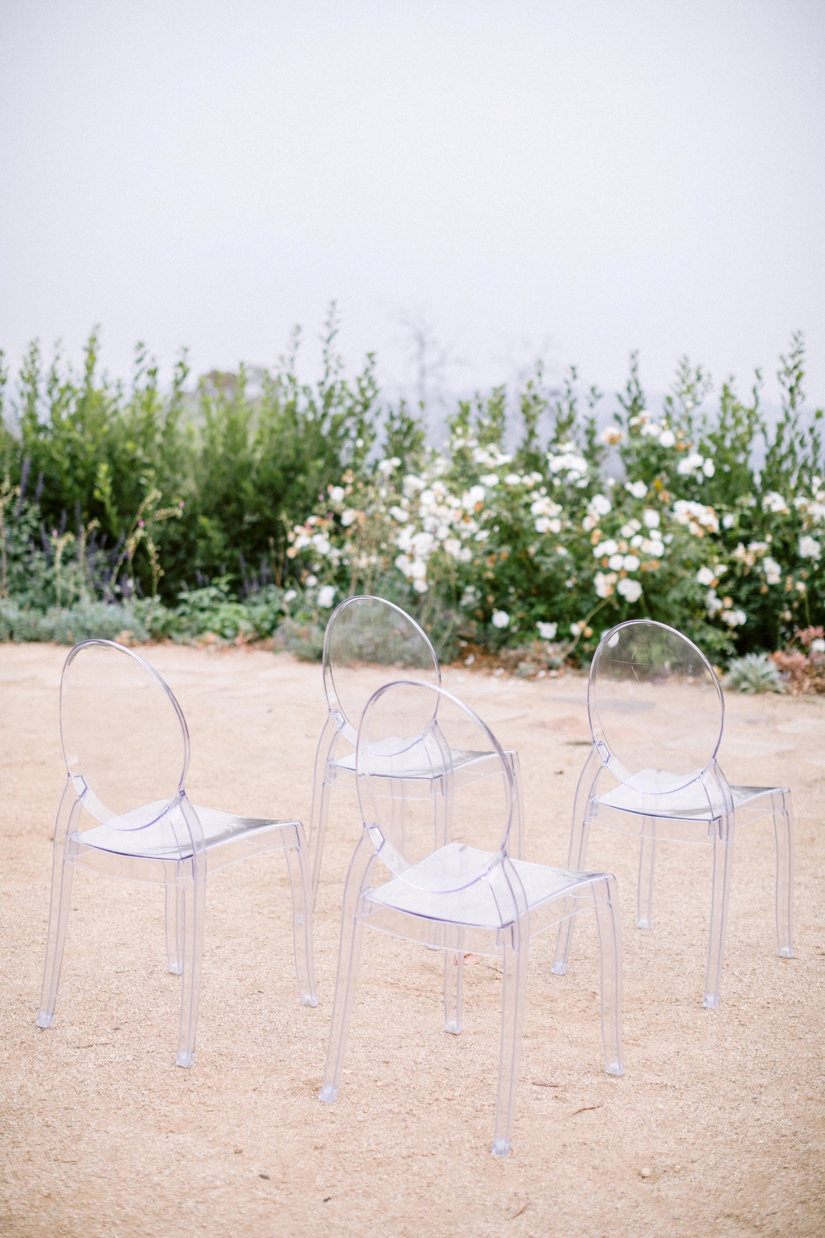 amber-lynn-photography-ocean-view-farm-c
