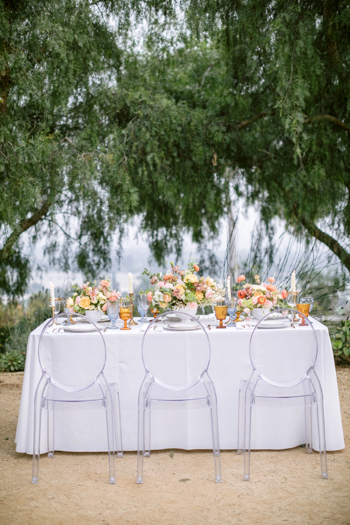 amber-lynn-photography-ocean-view-farm-c