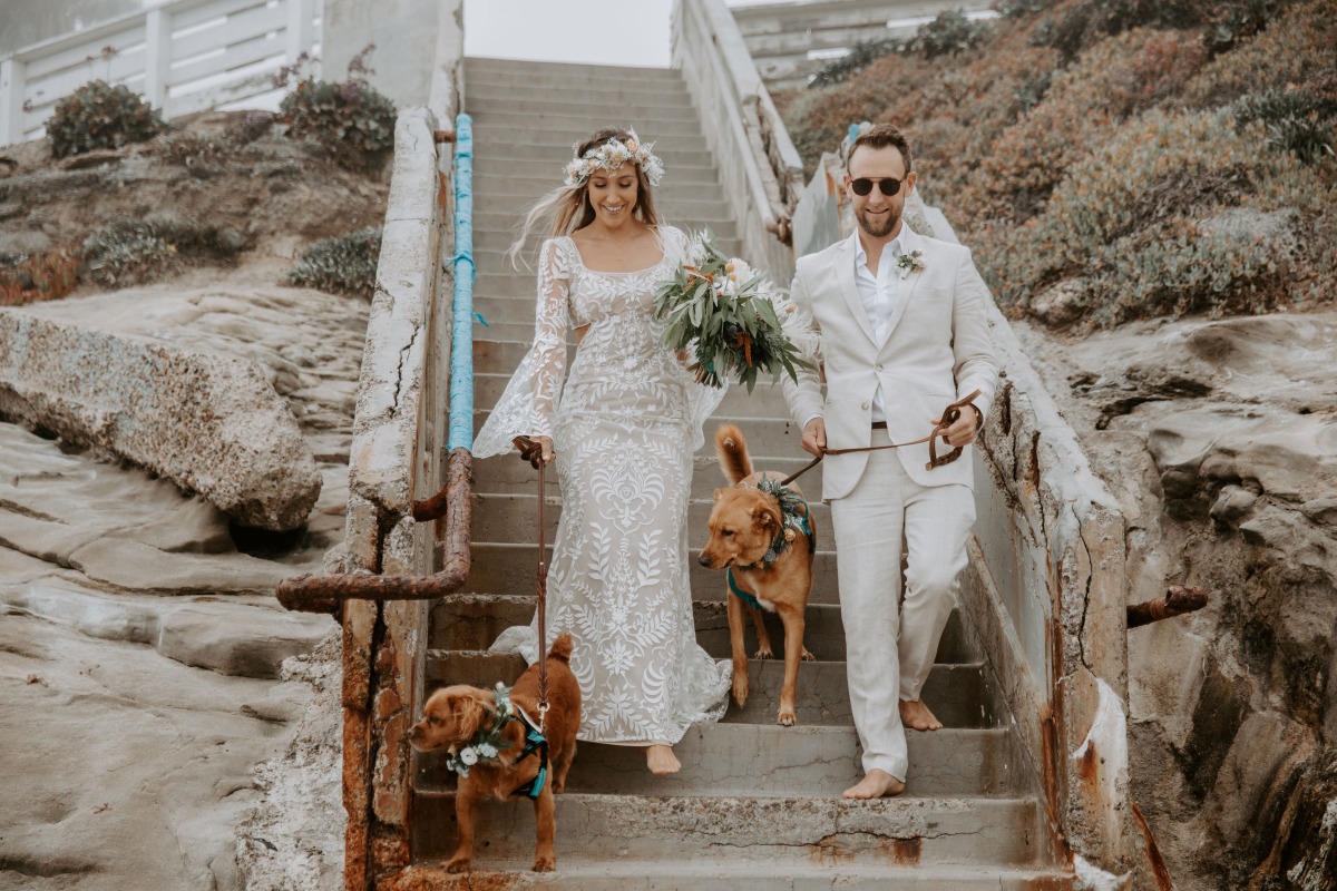 Bride and groom walking down stairs with their two dogs