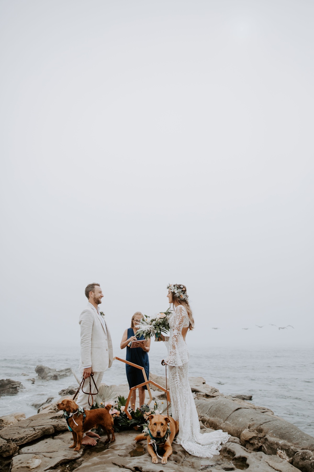 Romantic beach wedding with the couple and their dogs