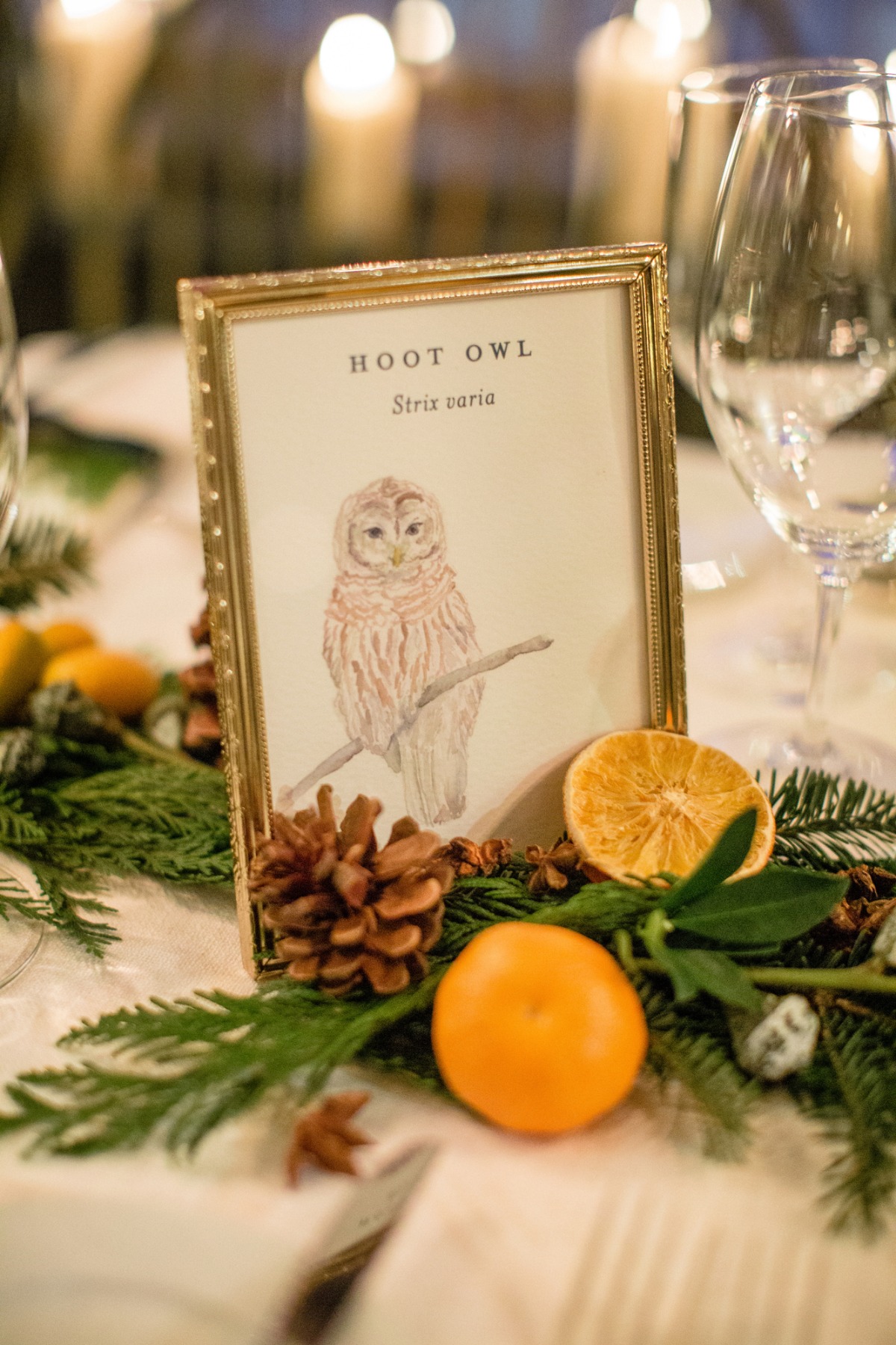 Hoot owl illustration with festive table decor and cozy lighting