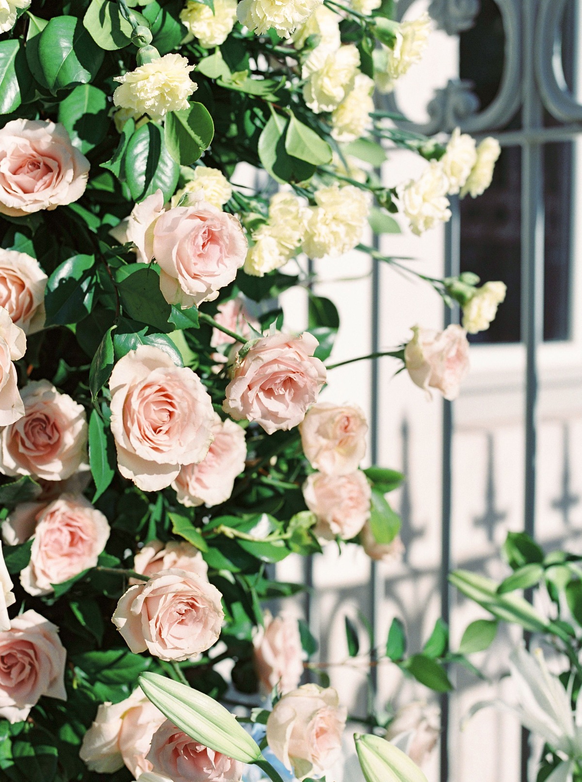 dianesoterophotography_224