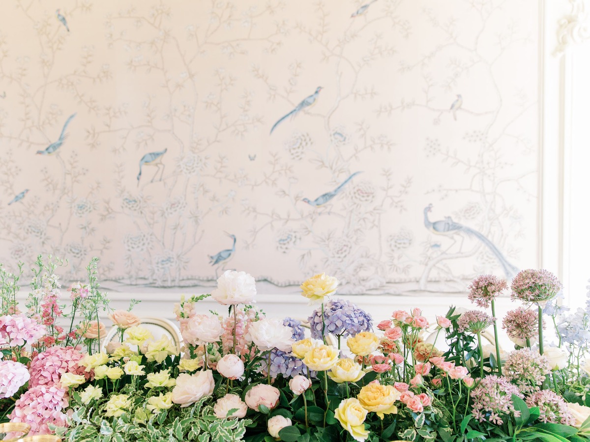 dianesoterophotography_260