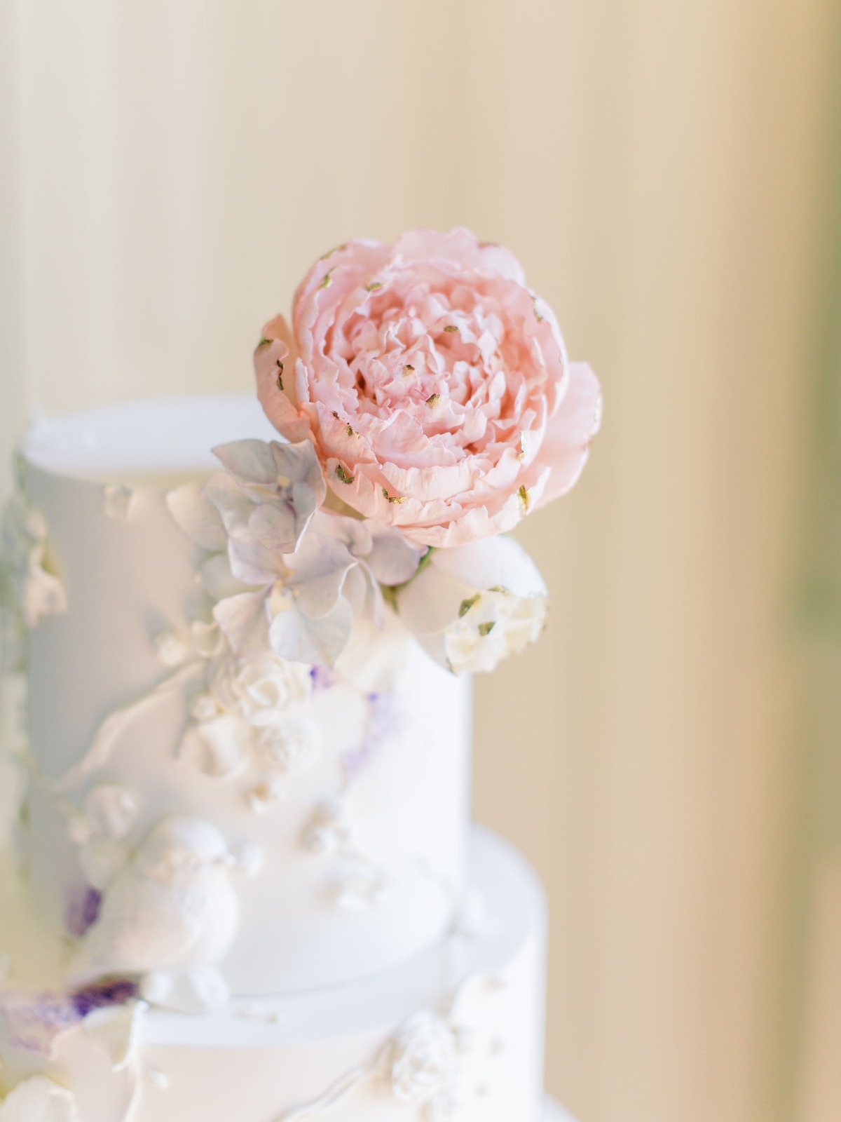 dianesoterophotography_315