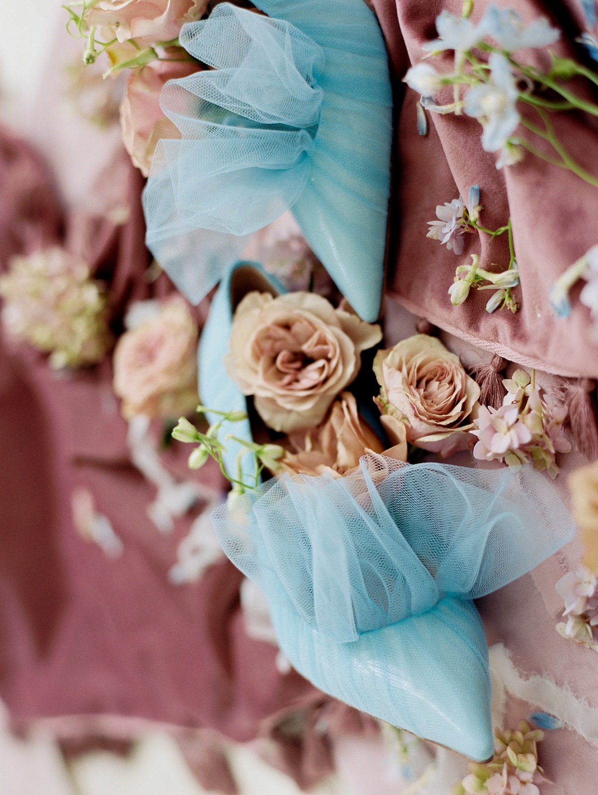 du_soleil_photographie_portico_awbury_ar