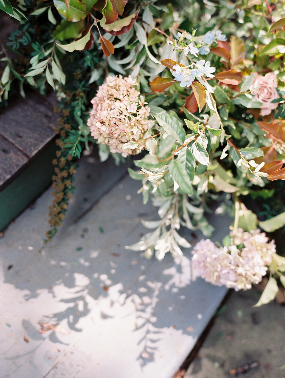 du_soleil_photographie_portico_awbury_ar