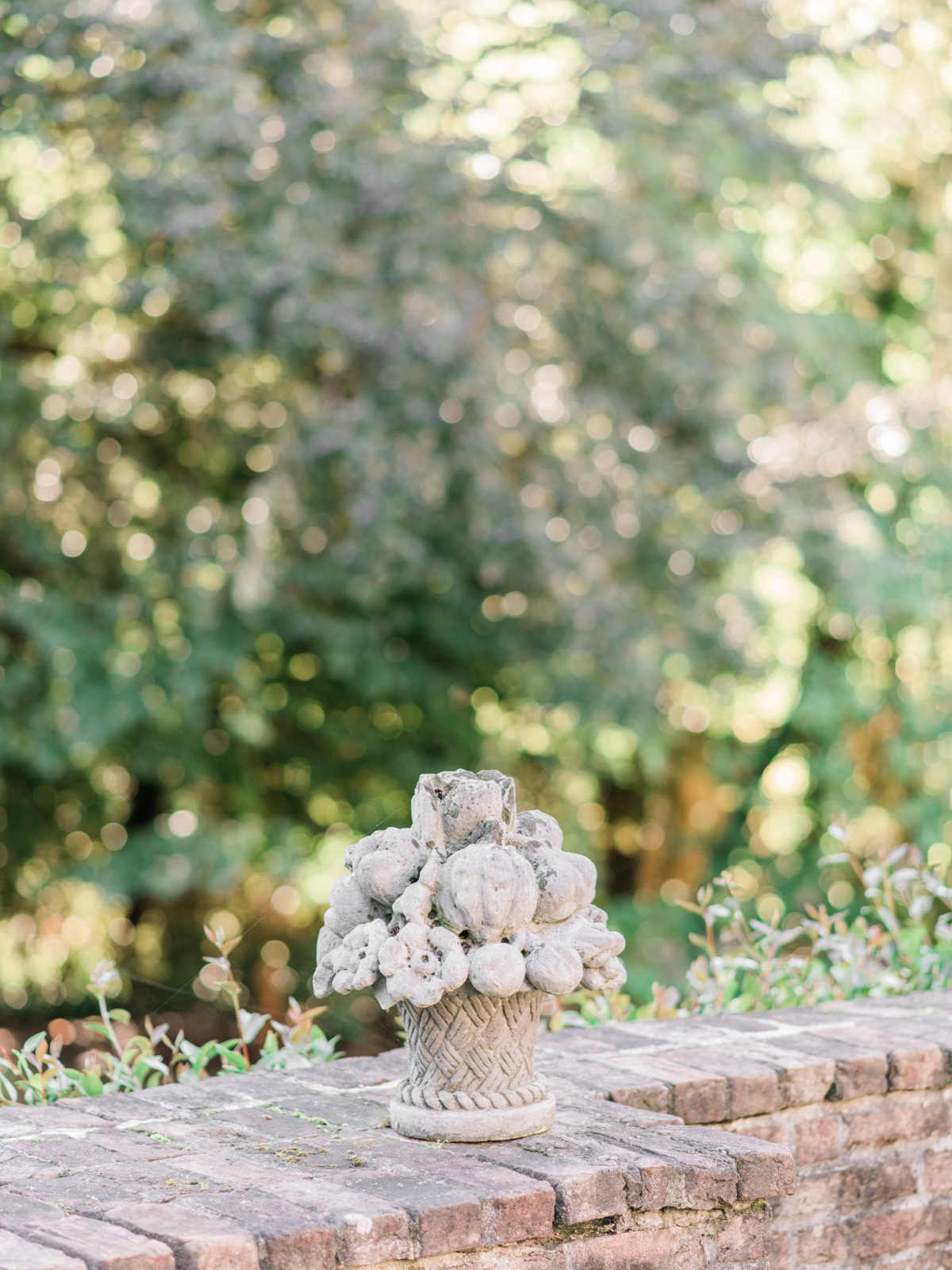 janetlinphotography_lakewoldgardens-42