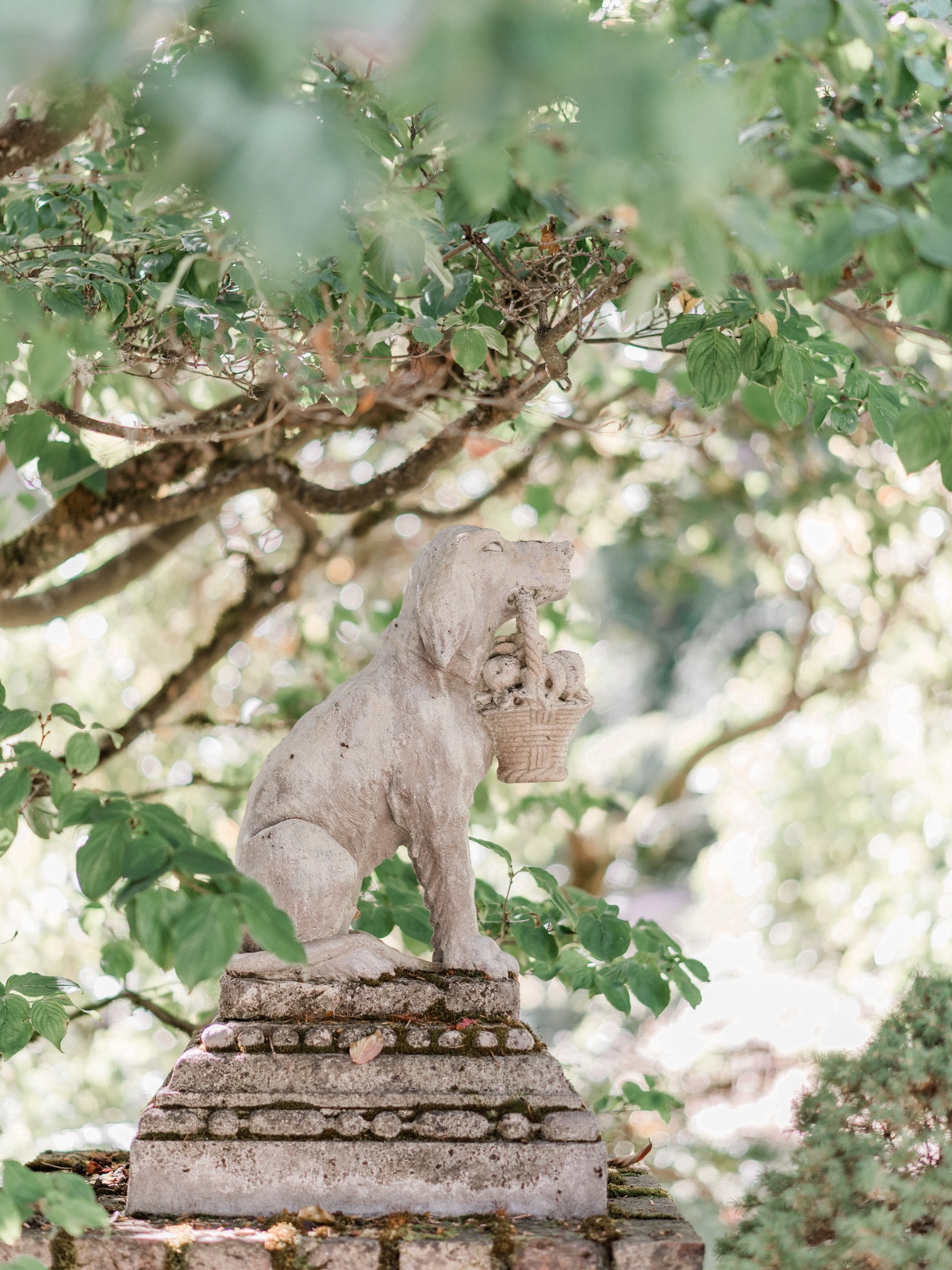 janetlinphotography_lakewoldgardens-44