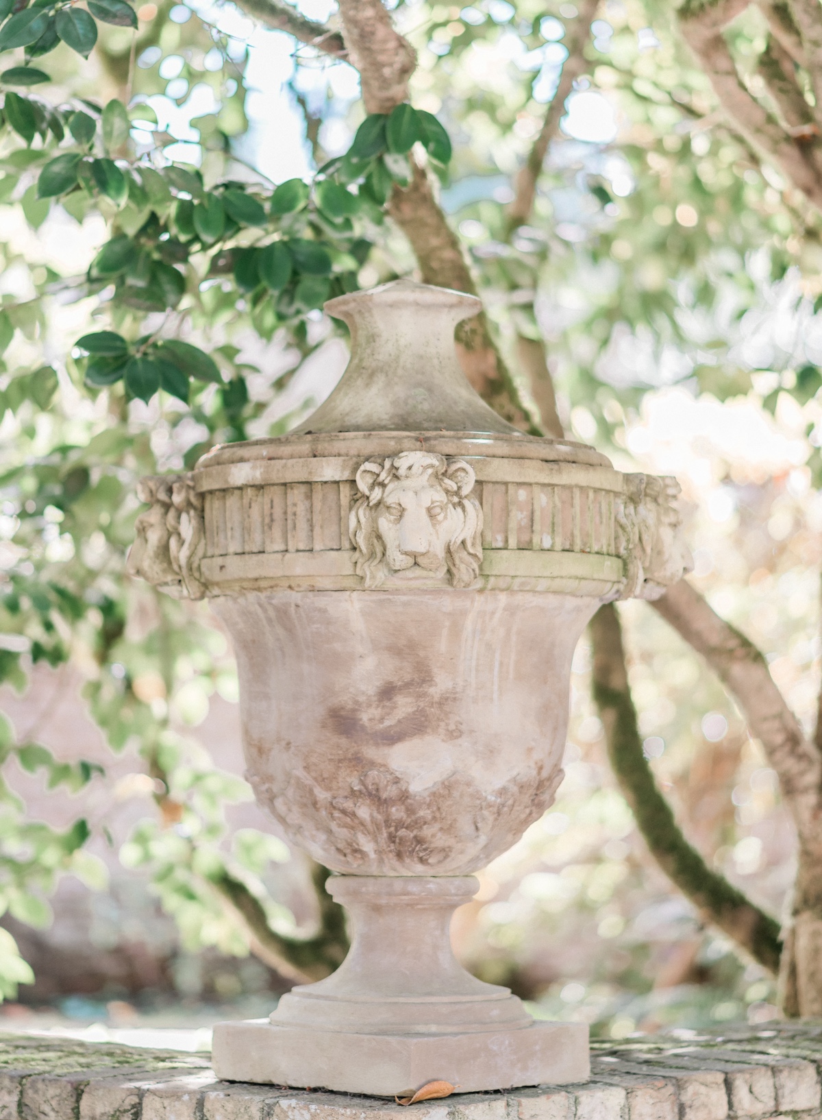 janetlinphotography_lakewoldgardens-45
