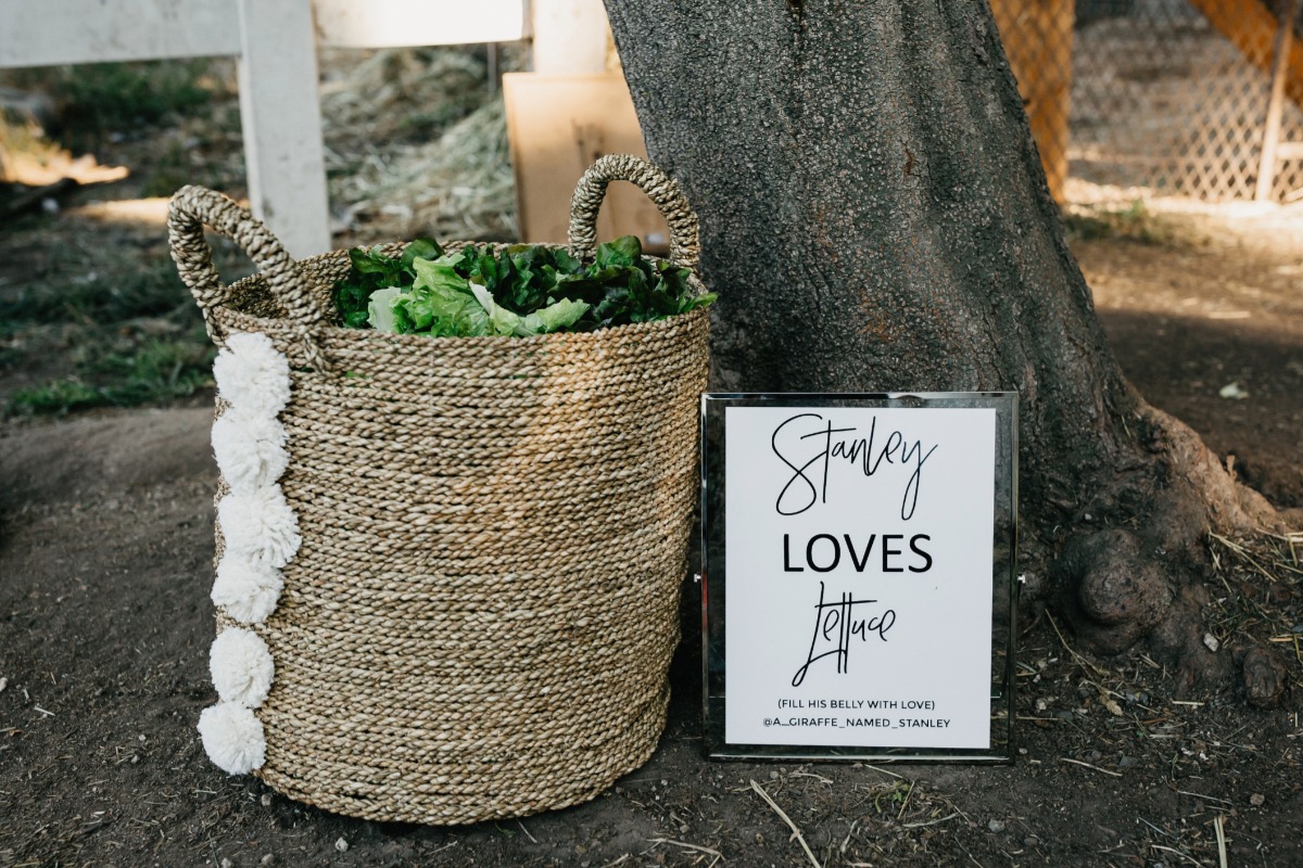 bobbysammi_wedding-517-final