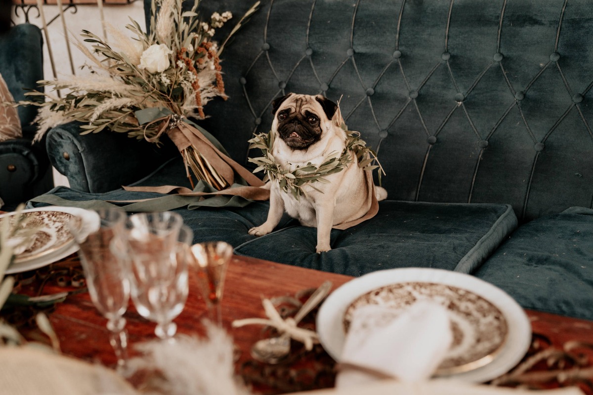 elopement-mar-de-olivos-69