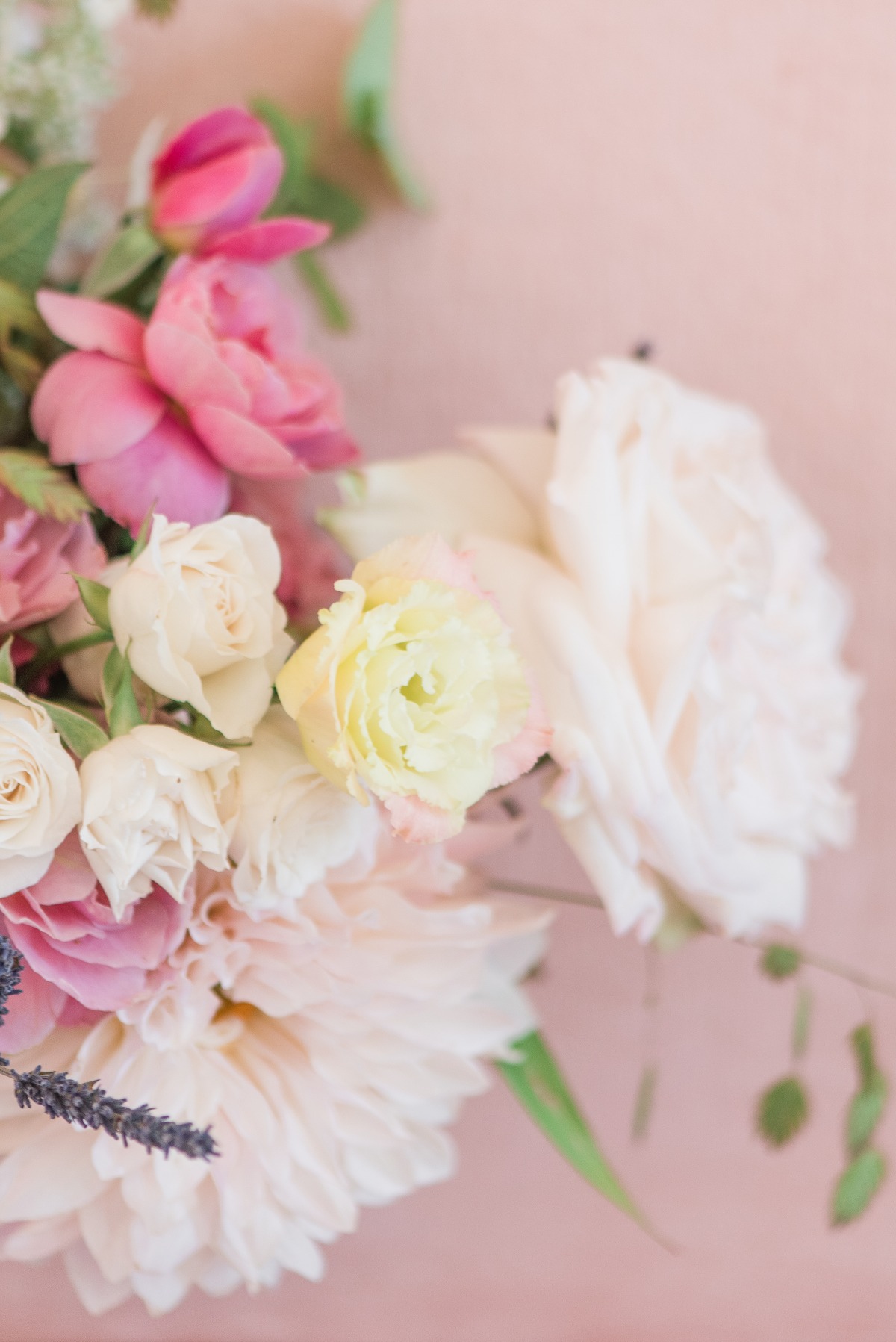 maurajanephotography_017