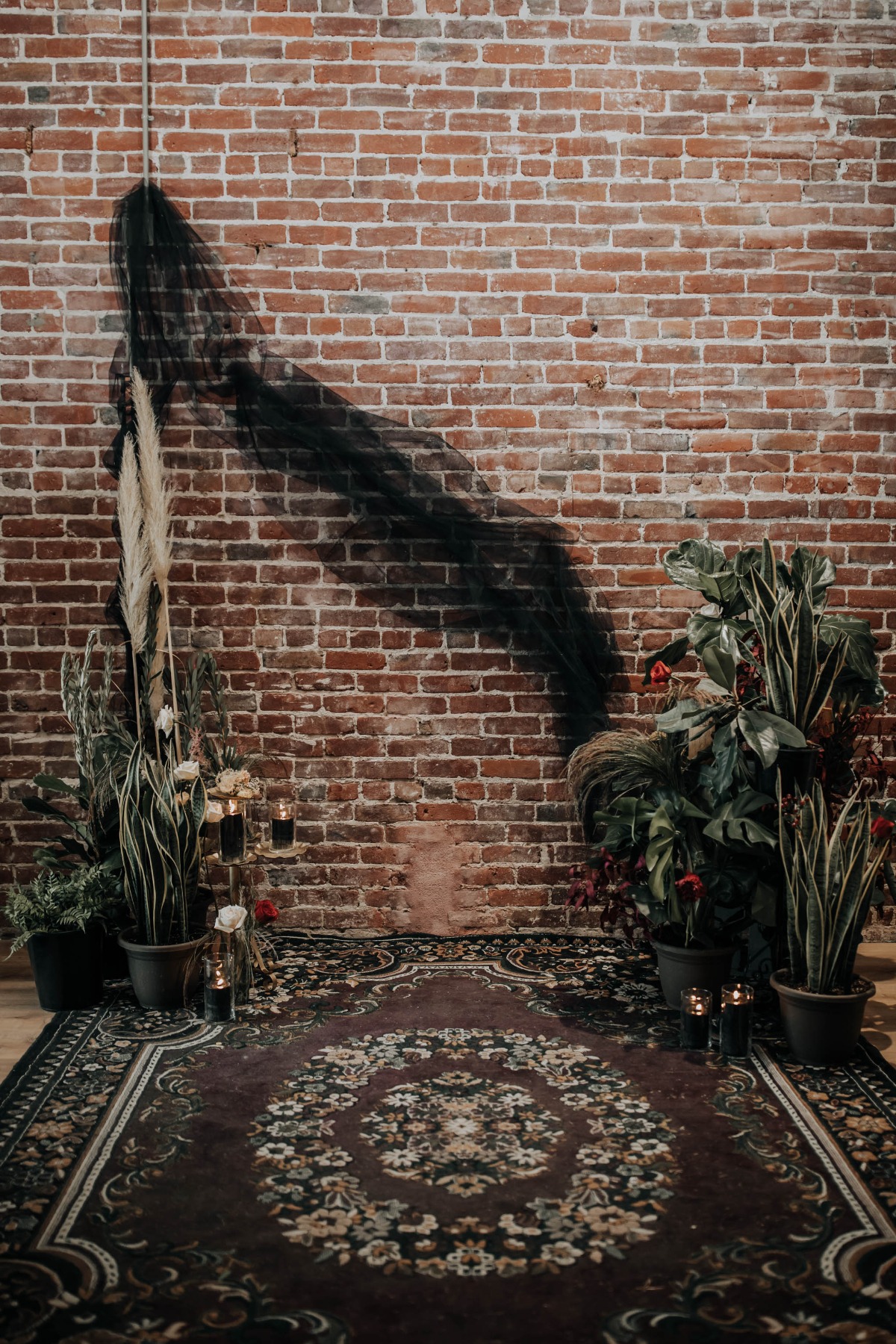 viastyledshoot-capturedbyaleenaphotograp