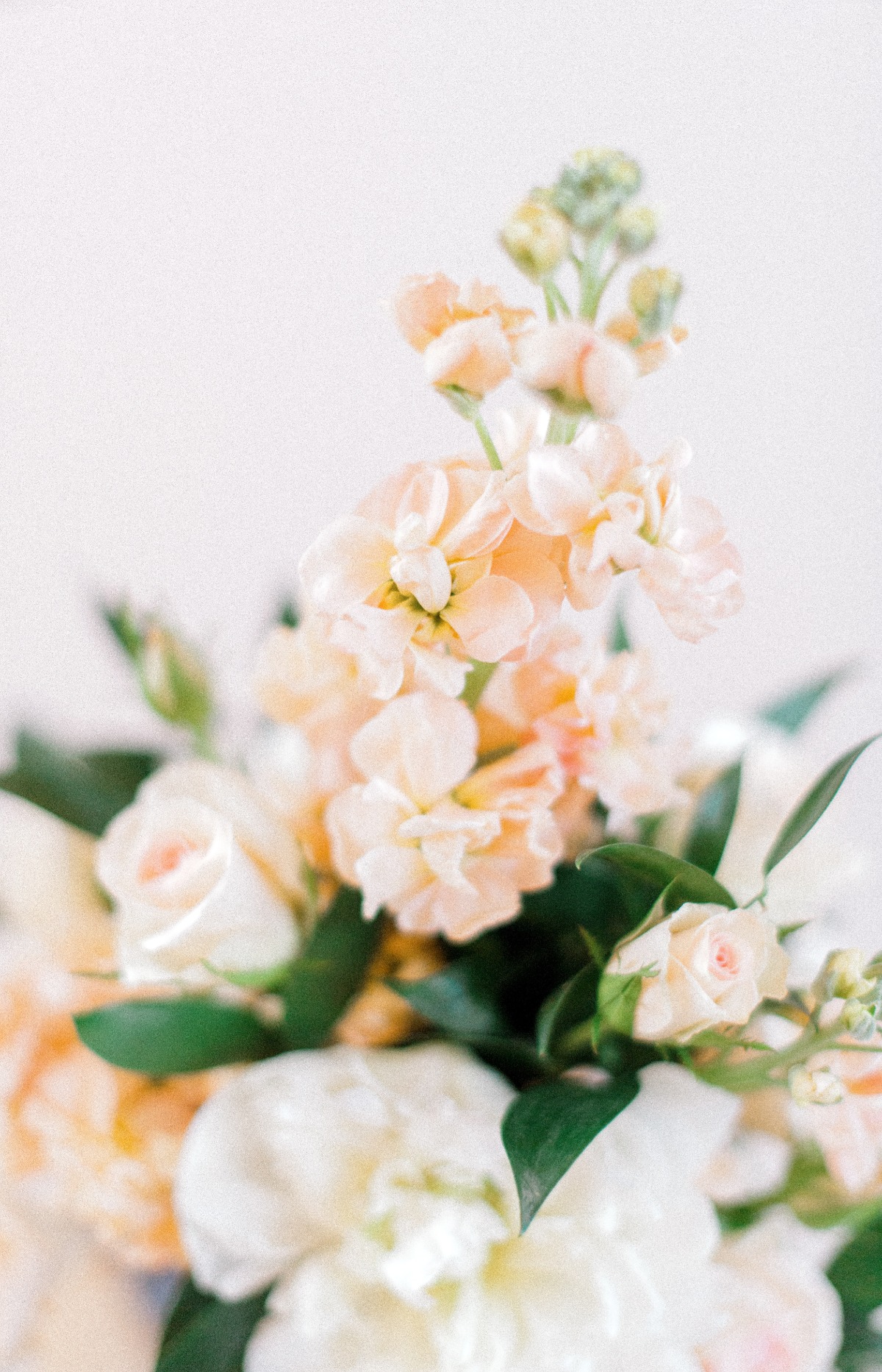 white-magnolia-kentwood-louisiana-weddin