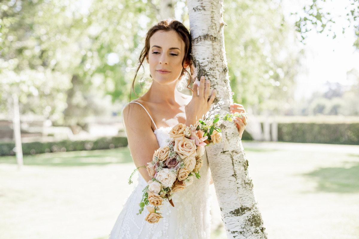 artistic-puppy-wedding-veilstailsphoto_1