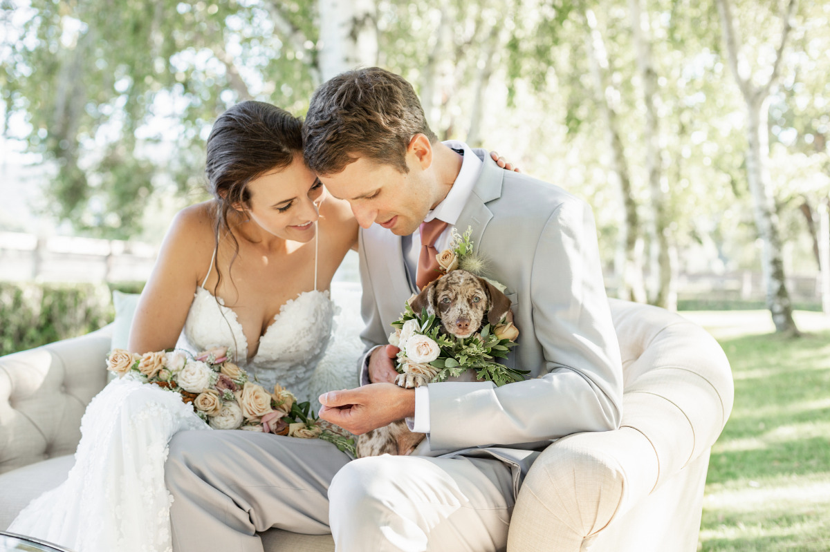 artistic-puppy-wedding-veilstailsphoto_2