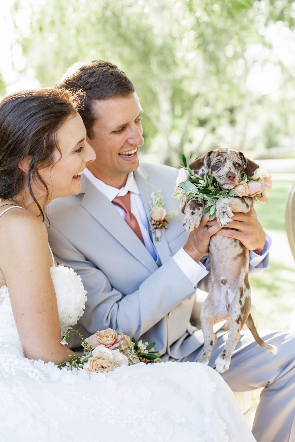 artistic-puppy-wedding-veilstailsphoto_2