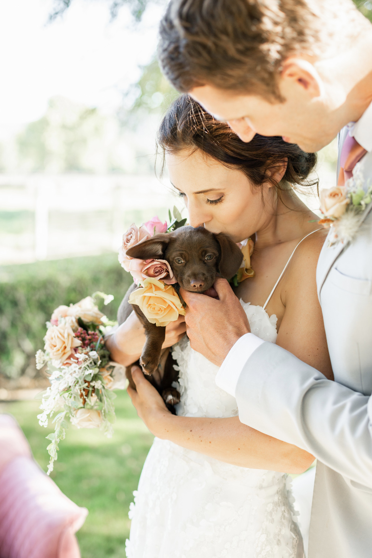 artistic-puppy-wedding-veilstailsphoto_2