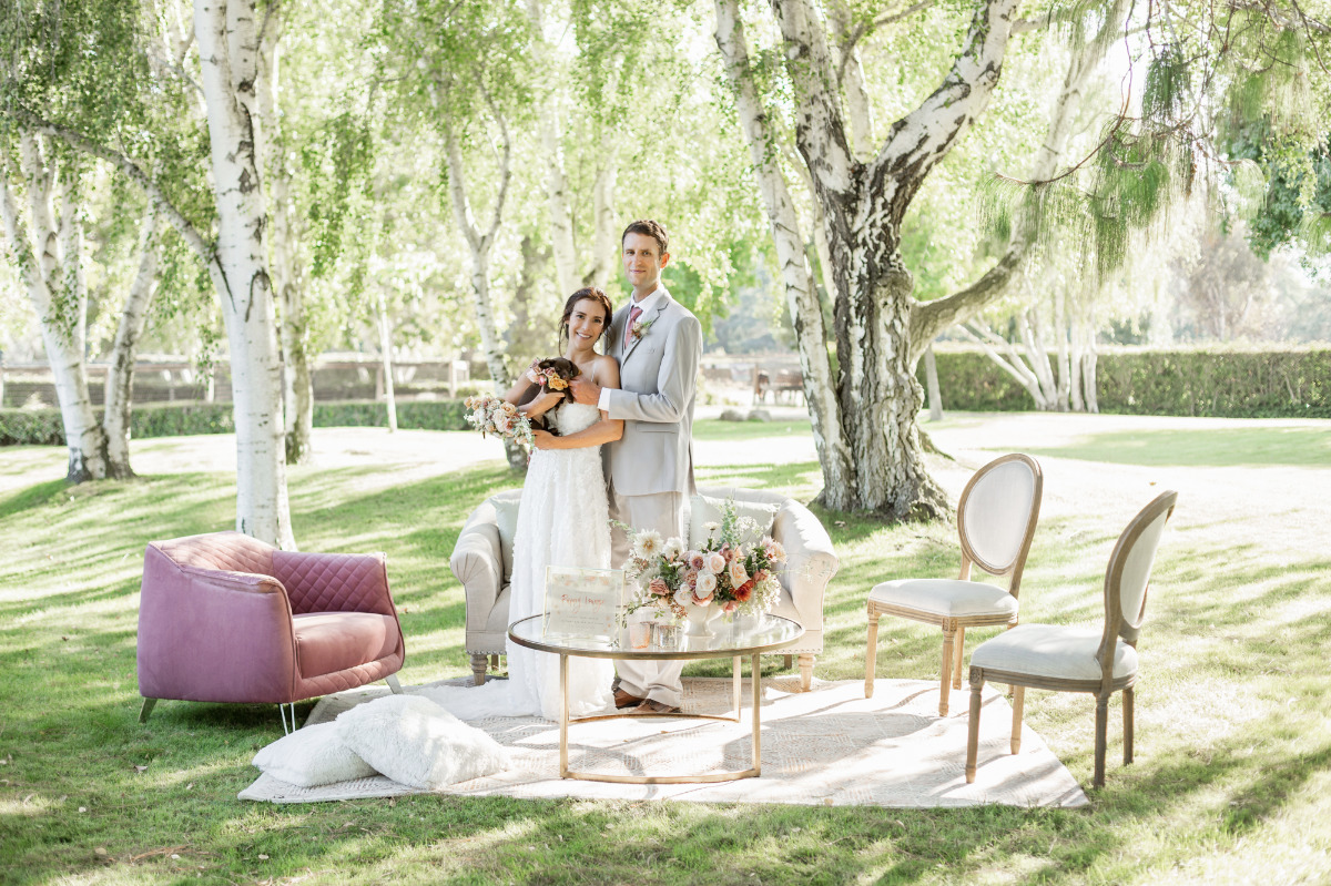 artistic-puppy-wedding-veilstailsphoto_2