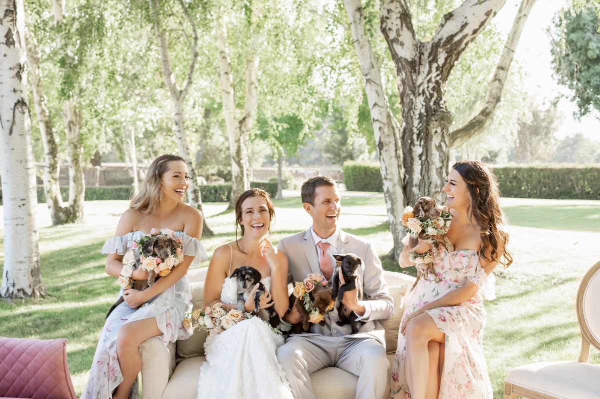 Puppies Galore in This Earthy, Artistic Wedding Inspiration Shoot