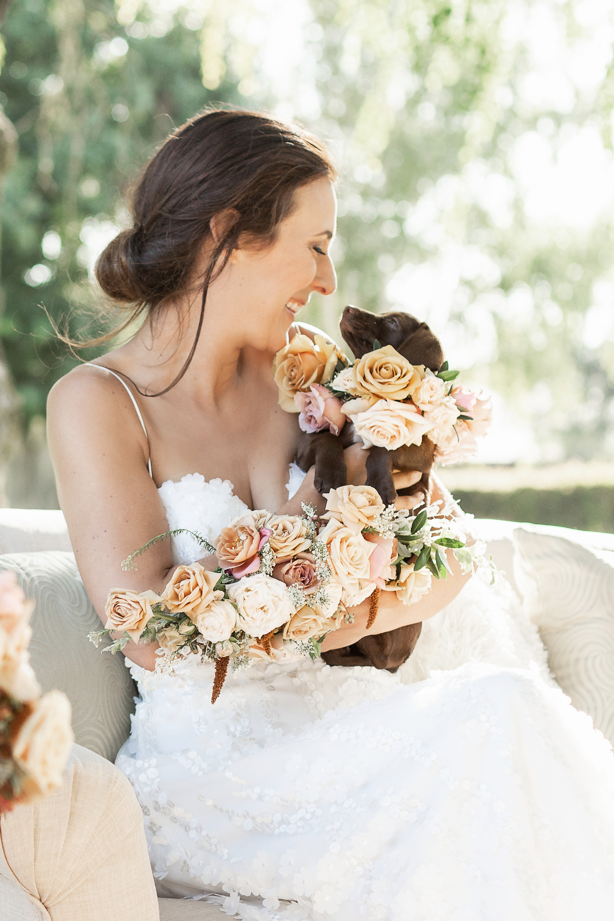 artistic-puppy-wedding-veilstailsphoto_3