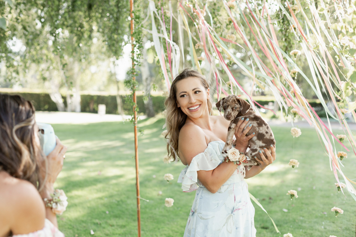 artistic-puppy-wedding-veilstailsphoto_4