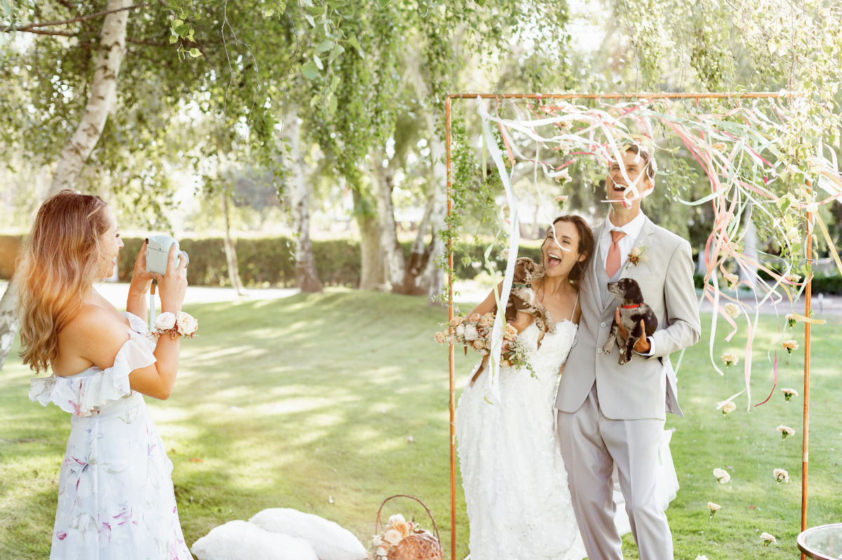 artistic-puppy-wedding-veilstailsphoto_4