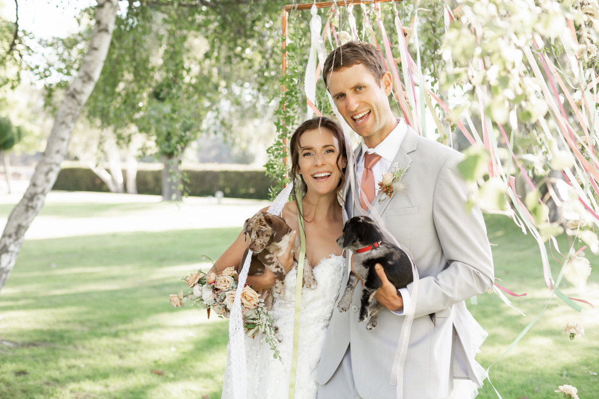 artistic-puppy-wedding-veilstailsphoto_4