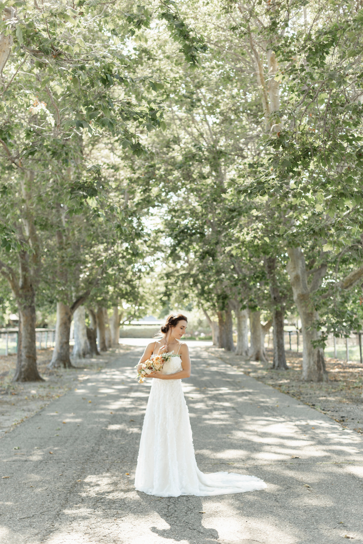 artistic-puppy-wedding-veilstailsphoto_5