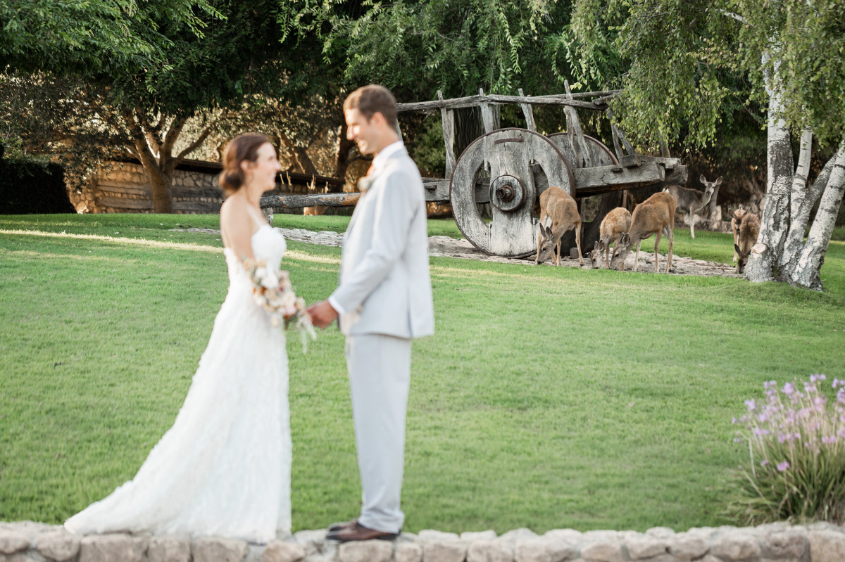 artistic-puppy-wedding-veilstailsphoto_7