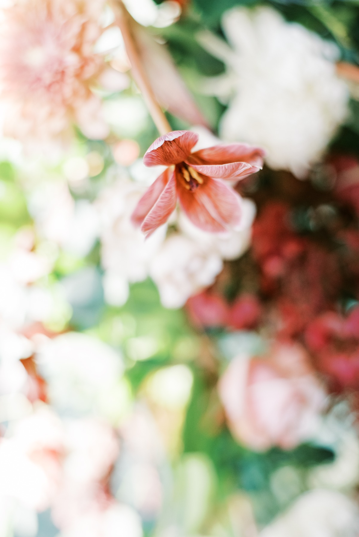 calhounwedding_0737