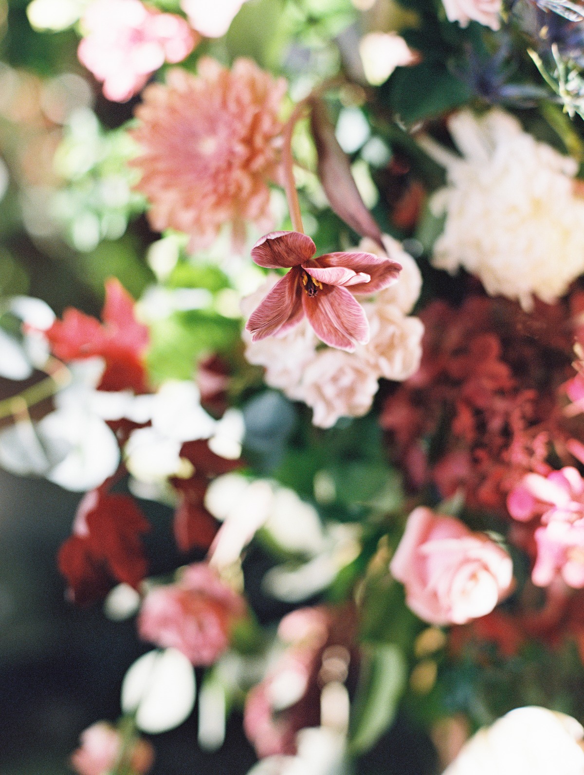 calhounwedding_0943