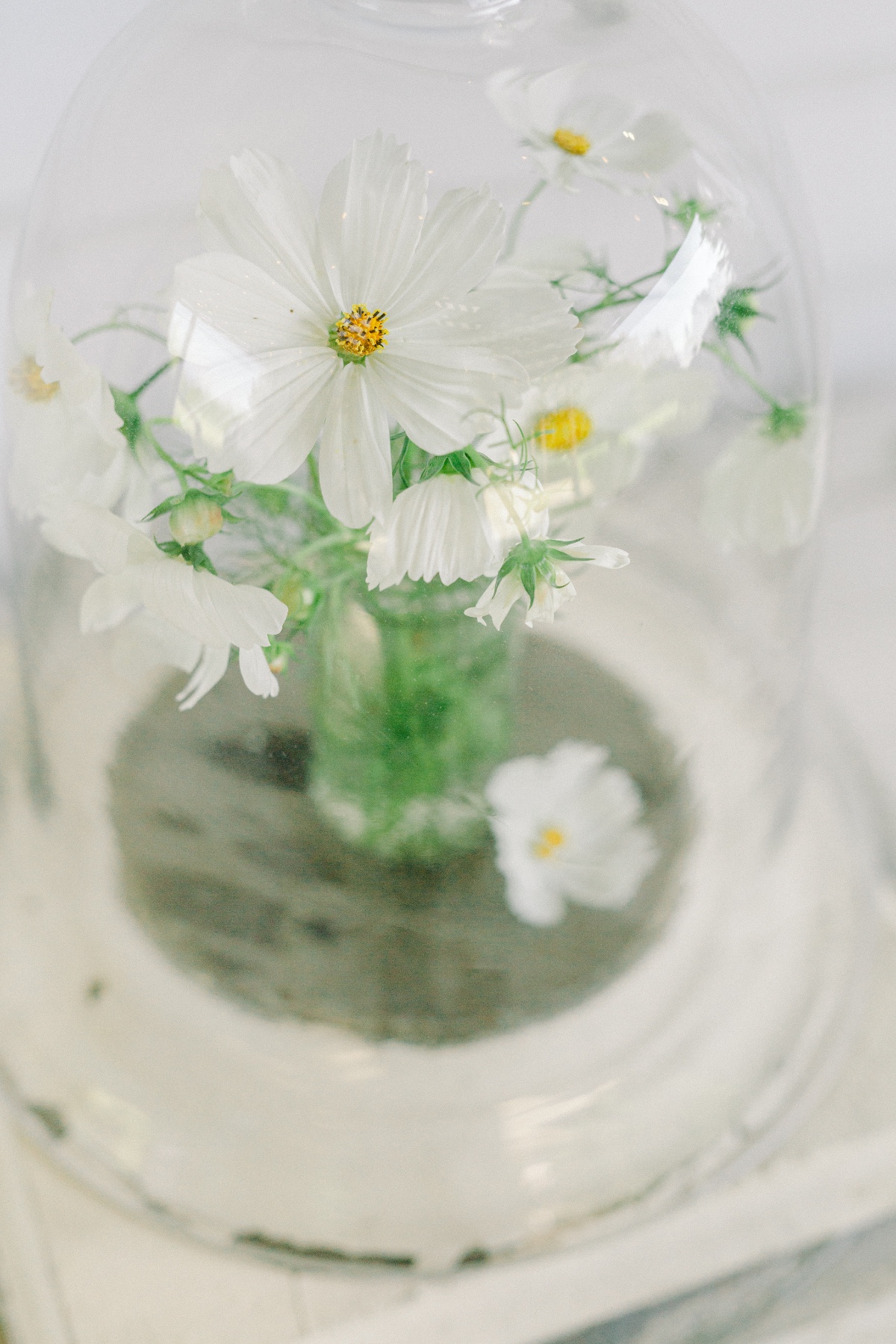 magnolia-inspiration-shoot-faberfarm-mou