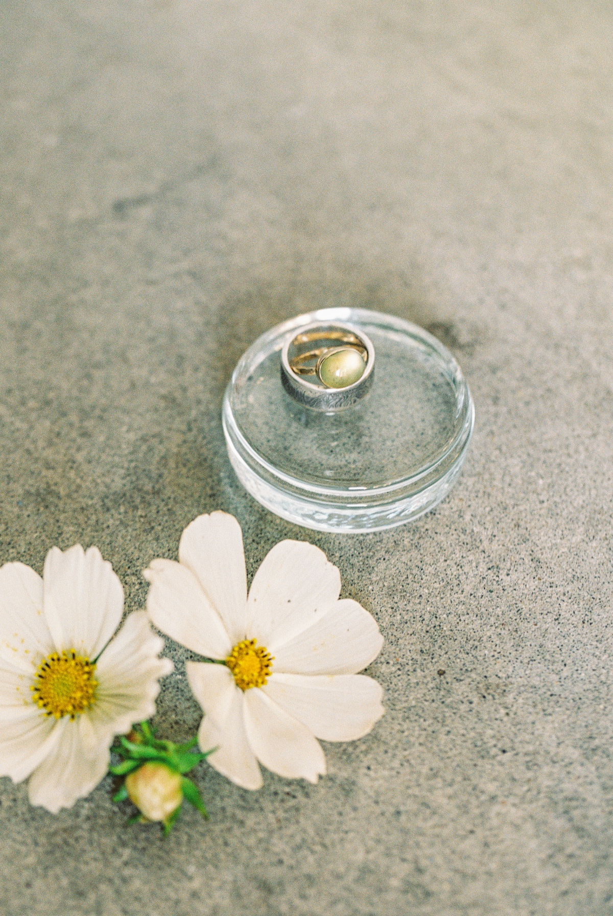 magnolia-inspiration-shoot-faberfarm-mou