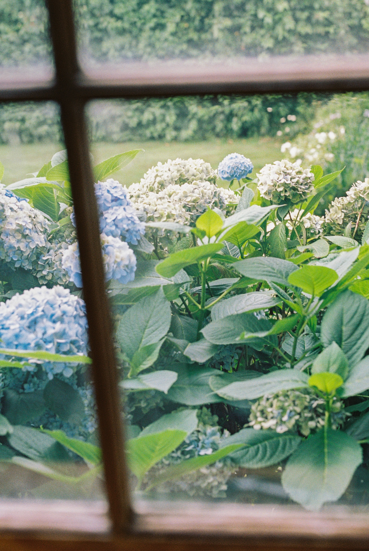 magnolia-inspiration-shoot-faberfarm-mou