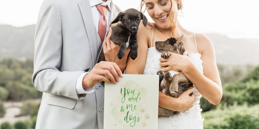 Puppies Galore in This Earthy, Artistic Wedding Inspiration Shoot