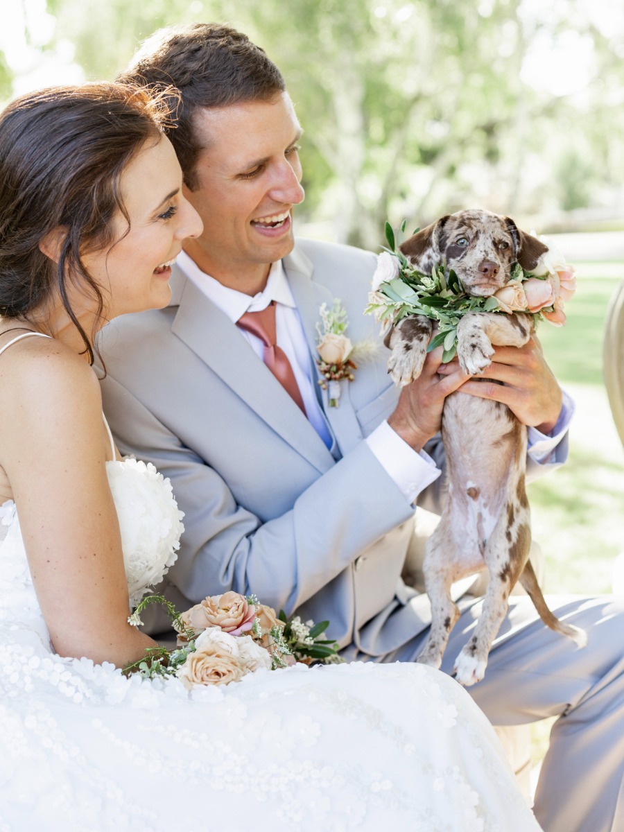 Puppies Galore in This Earthy, Artistic Wedding Inspiration Shoot