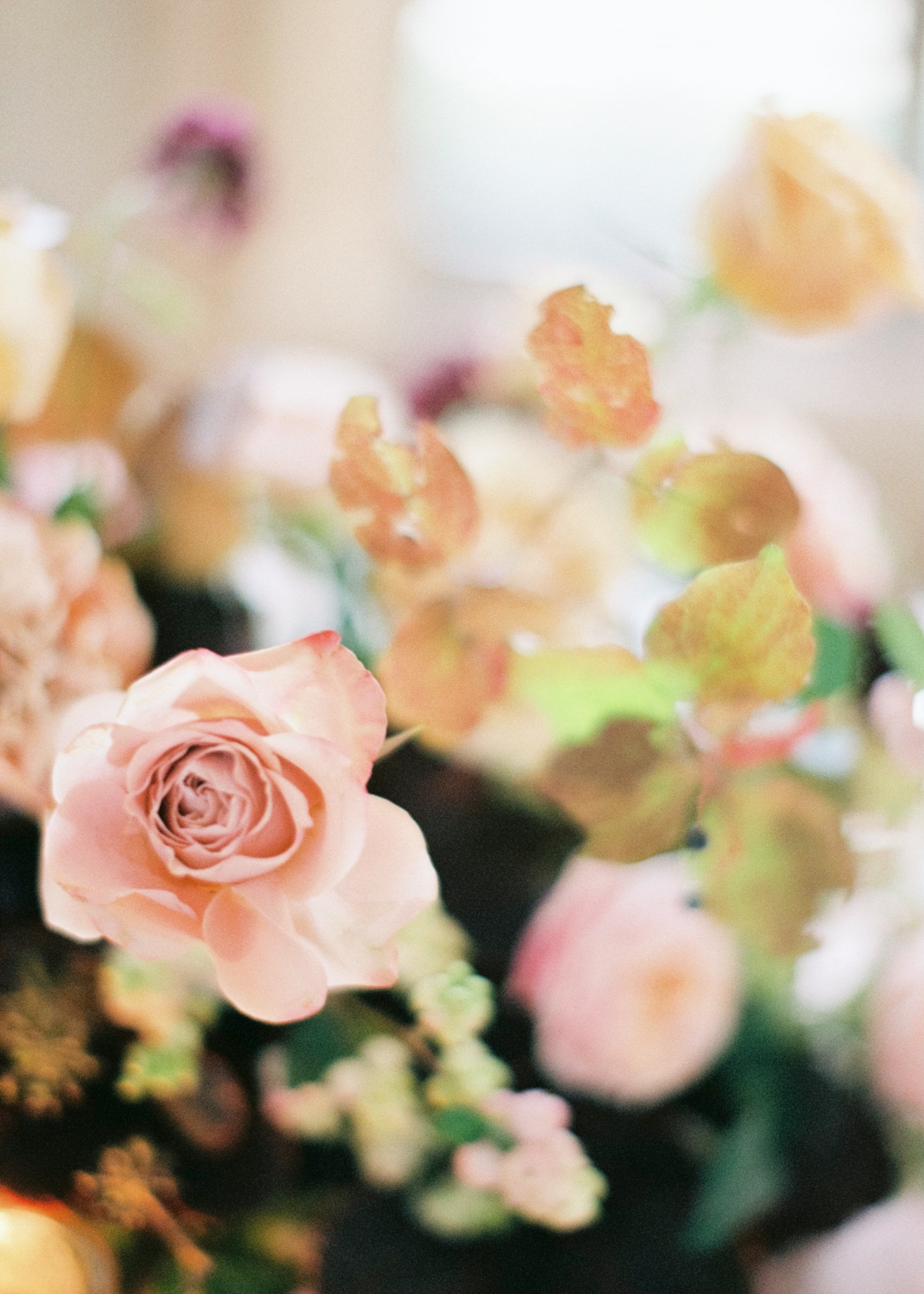 rosedethe-intimate-wedding-juliarapp-19