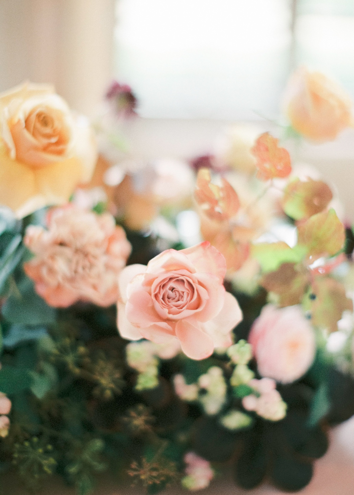 rosedethe-intimate-wedding-juliarapp-20
