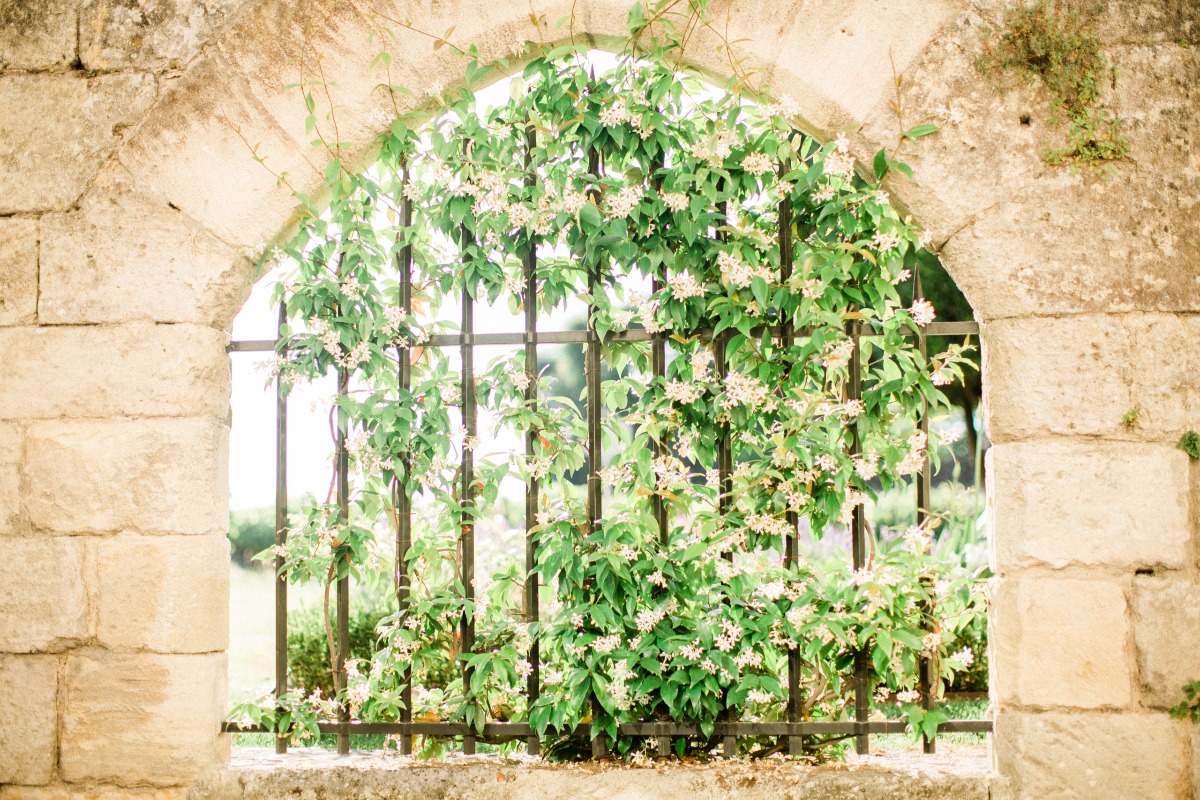 saintemilion-10